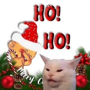 Meet your Posher, Penny